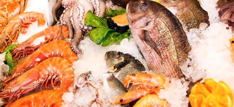 seafood display at a market